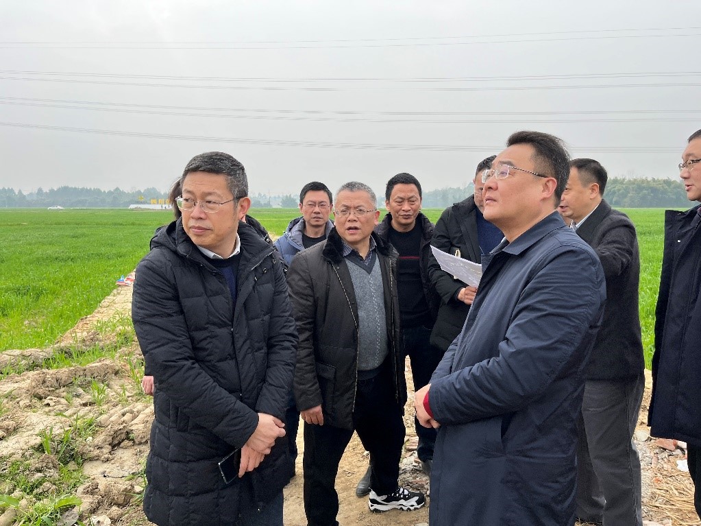 省社、省供投集團(tuán)領(lǐng)導(dǎo)調(diào)研青白江區(qū)四川現(xiàn)代供銷(xiāo)種業(yè)園區(qū)