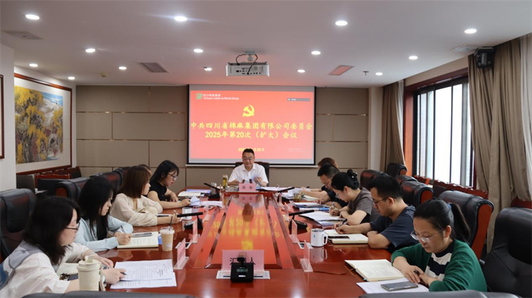 集團(tuán)公司召開(kāi)2025年第20次黨委（擴(kuò)大）會(huì)議