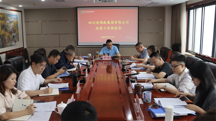 集團公司召開經營工作推進會