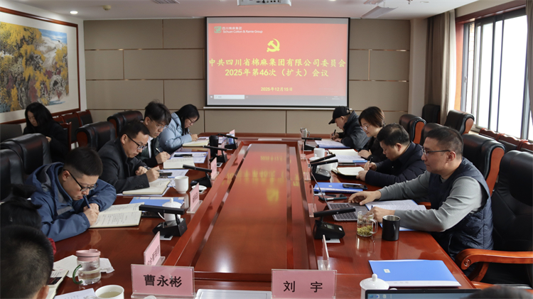 集團公司召開2025年第46次黨委（擴大）會議